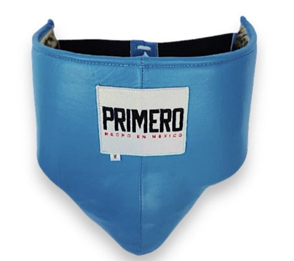 Turquoise & Gold Groin Protector